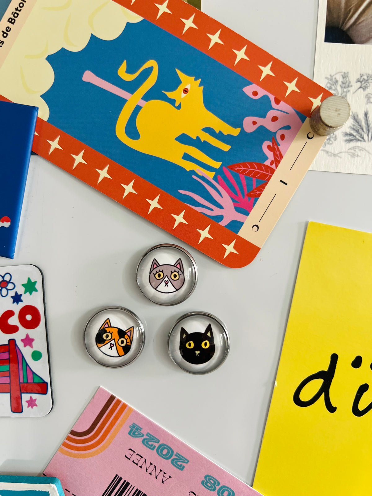 colorful bird pin badge