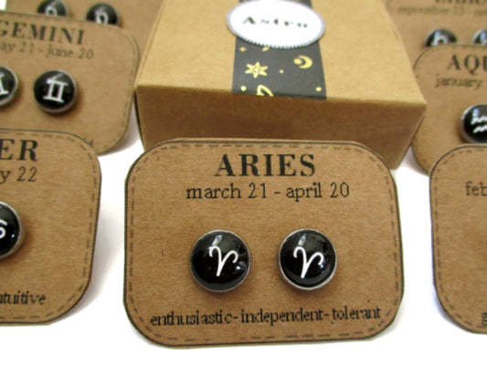 Zodiac Stud Earrings, Zodiac Birthday Gift