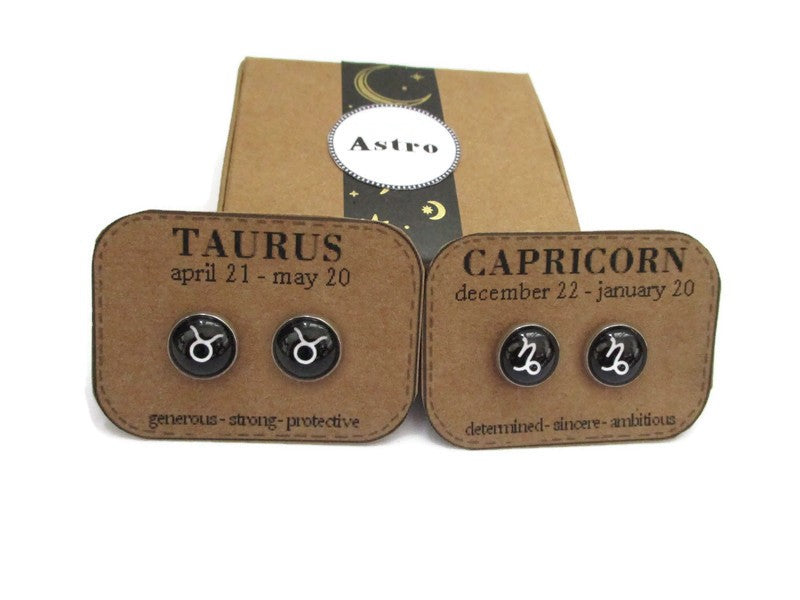 Zodiac Stud Earrings, Zodiac Birthday Gift