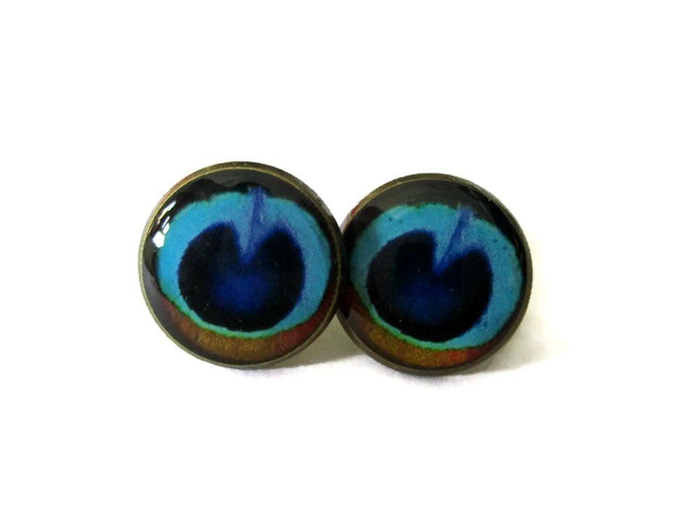 Peacock Feather Stud Earrings