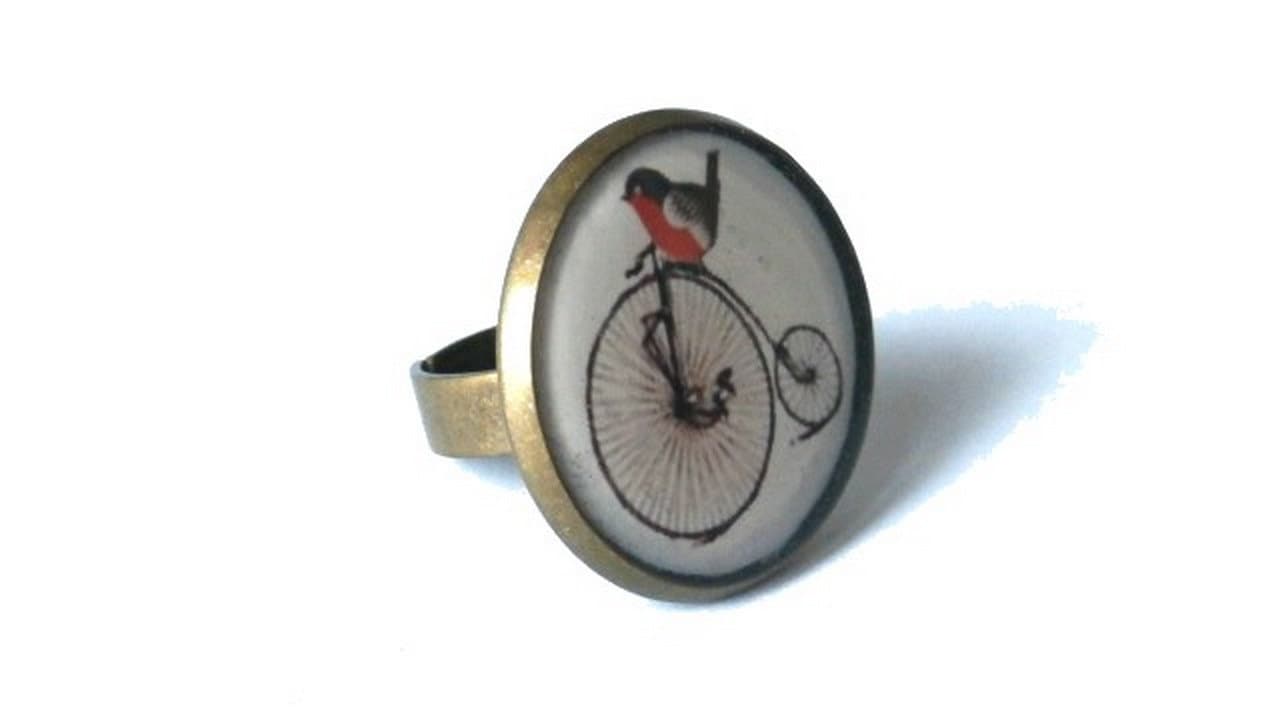 Bague Oiseau sur son Vélo