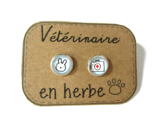 Future Vet Kids Stud Earrings / " Vétérinaire en Herbe! "